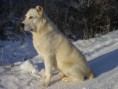 /album/fotogaleria/mix-142-jpg/